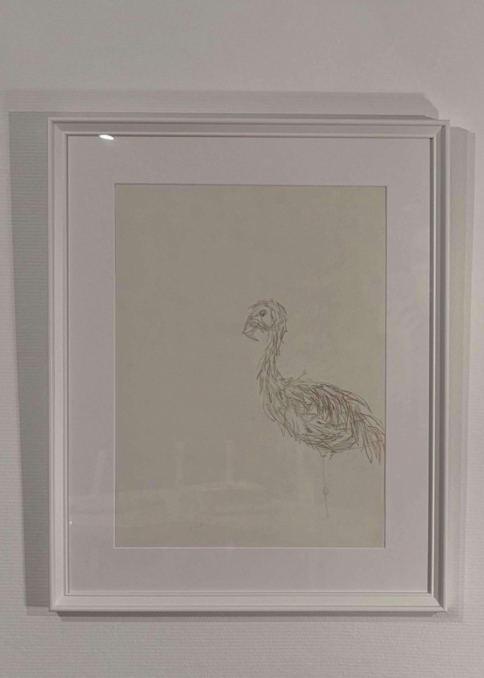 un flamant rose dessiné au fusain sur fond blanc