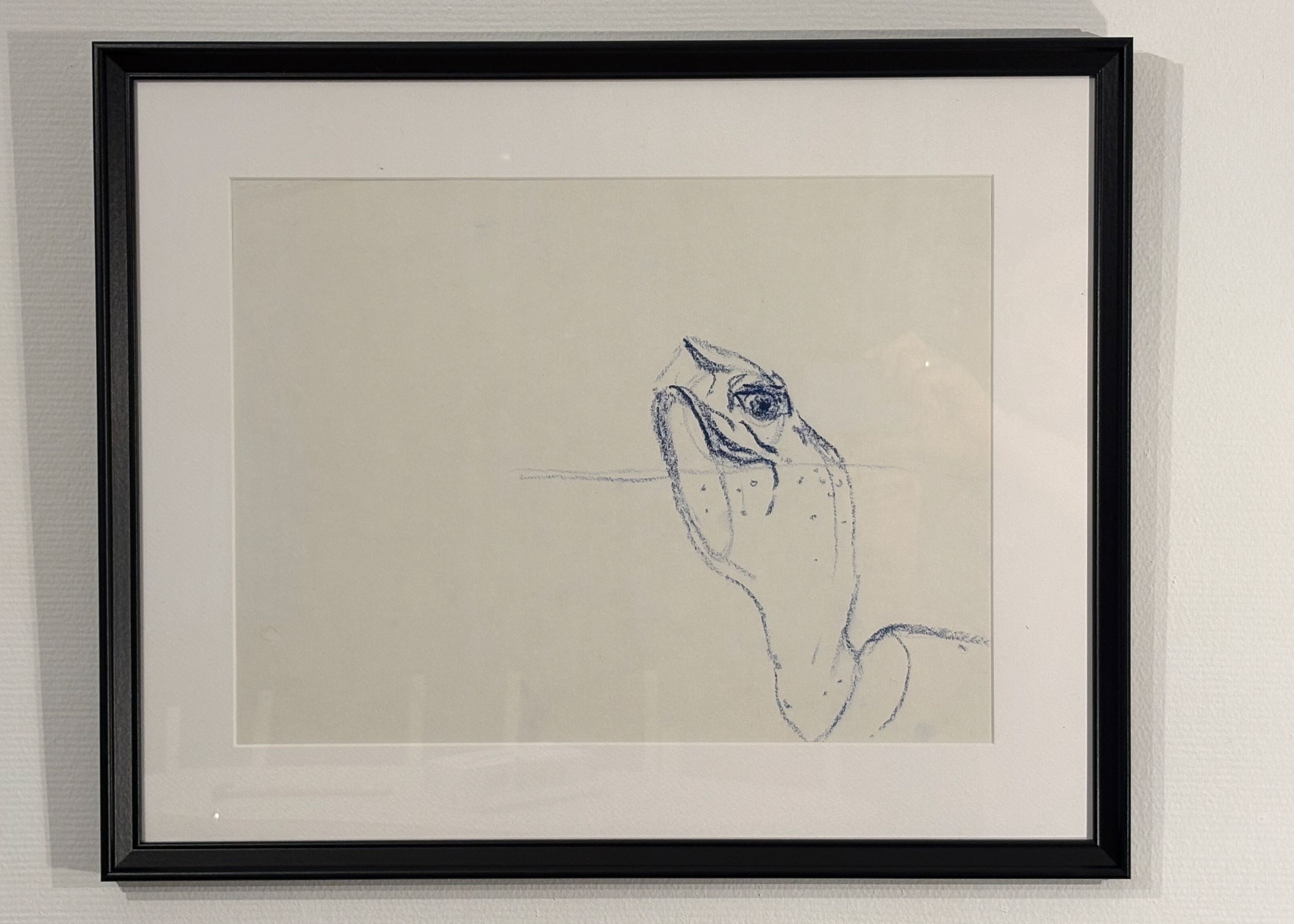 détail d'une tortue sortant la tête de l'eau. Le cou et la tête sont visibles.